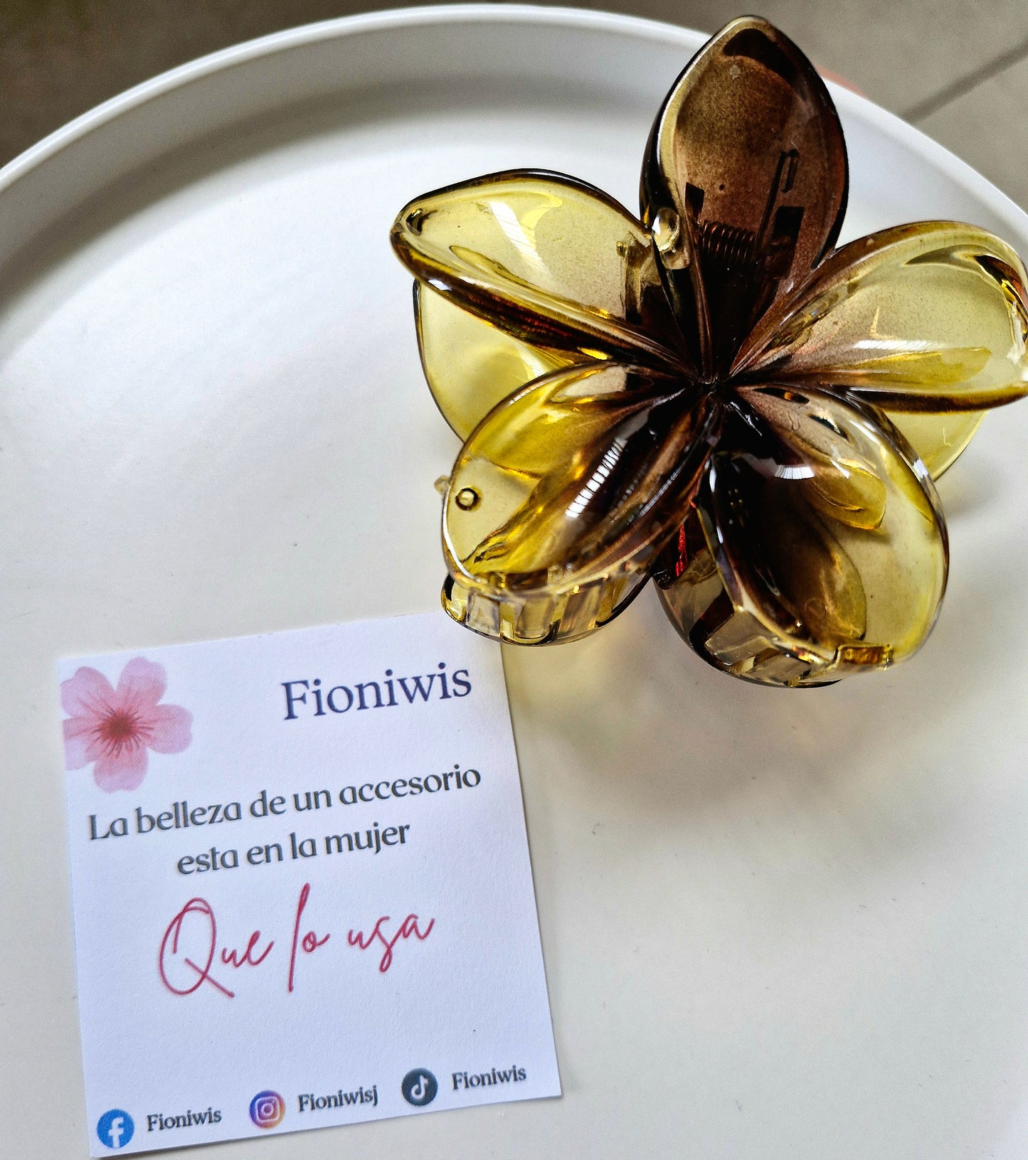 Hair Clip Hawaiana Bicolor