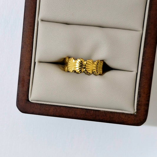 Anillo Shell