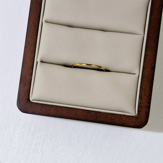 Anillo Snake
