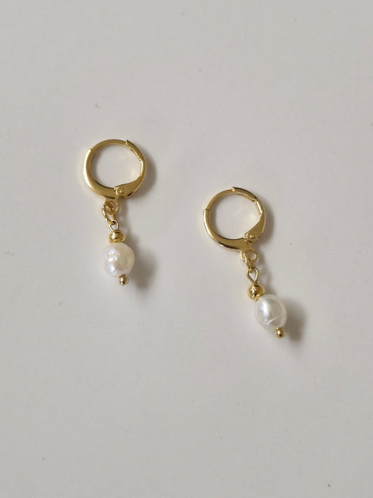Aretes Isla