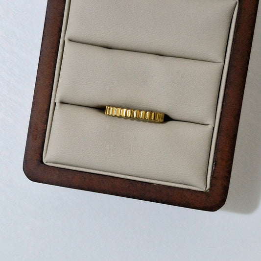 Anillo Zebra